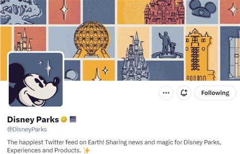 Disney Parks Return To Tweeting On X After Elon Musk Told Iger To "Go F ...