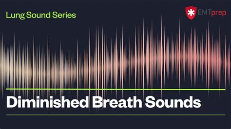 Diminished Breath Sounds - EMTprep.com - YouTube