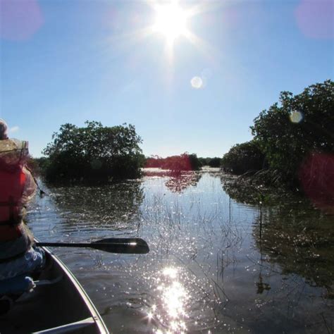 Flamingo Campground - Everglades National Park, Florida US | ParkAdvisor