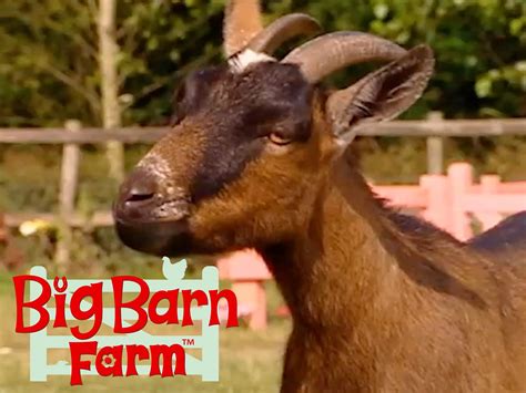 Watch Big Barn Farm | Prime Video