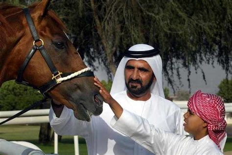 About leadership Dubai and horses