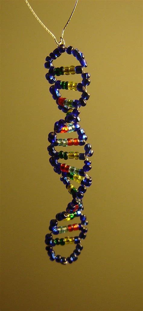 The Double Helix -Glass Bead DNA Model V2.0 | Dna model, Dna beads, Dna model project