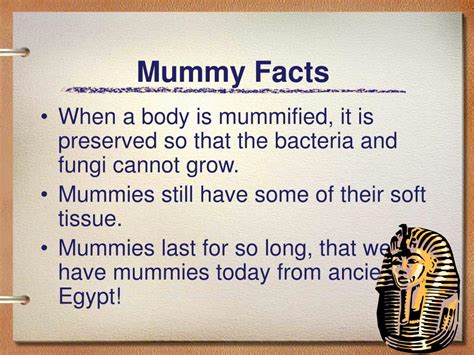 PPT - Mummies PowerPoint Presentation, free download - ID:1025388