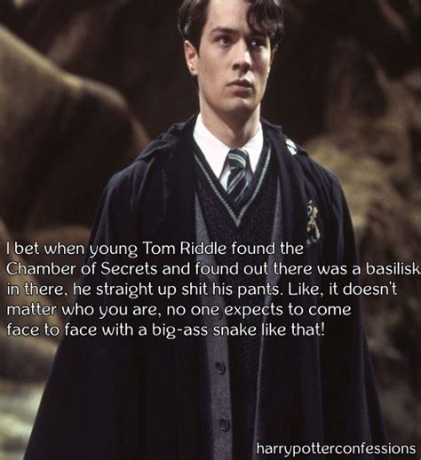 Who played tom riddle in chamber of secrets cast - dagaret