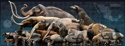 Pleistocene megafauna - Alchetron, The Free Social Encyclopedia