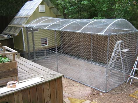 How To Build A Dog Run With Chicken Wire at Debbie Brogdon blog