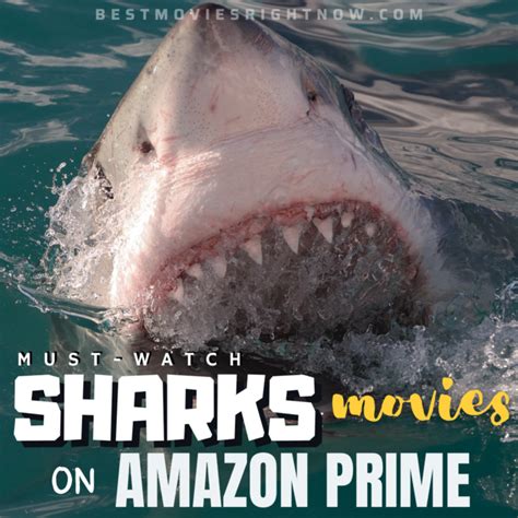 15 Must-Watch Shark Movies on Amazon Prime - Best Movies Right Now