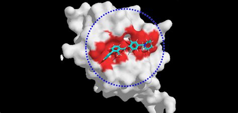 AI for drug discovery: What can we do? - Advanced Science News