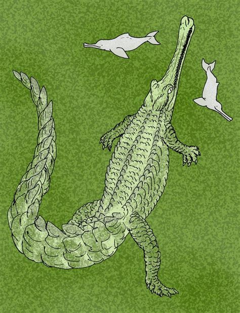 Rhamphosuchus - Alchetron, The Free Social Encyclopedia