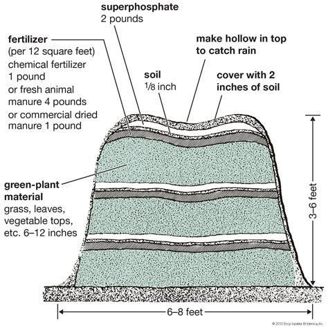 Compost | Description, Composition, & Process | Britannica