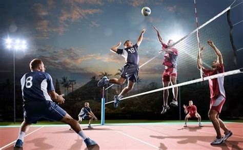 Easy To Install Outdoor Volleyball Court at Best Price in Pune | Anan ...