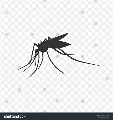 246 Mosquito Image Png Images, Stock Photos, 3D objects, & Vectors | Shutterstock