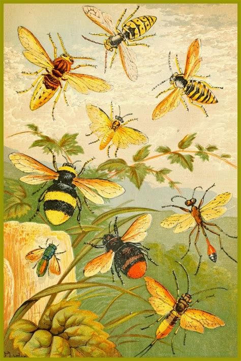 1379 best Bees in Fantasy Artwork images on Pinterest | Bees, Bee art and Beekeeping