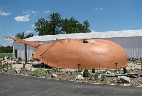 Weird Roadside Attractions - Strangest Road Trip Sights