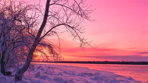 The Brown Knowser: Wordless Wednesday: Winter on the Ottawa River