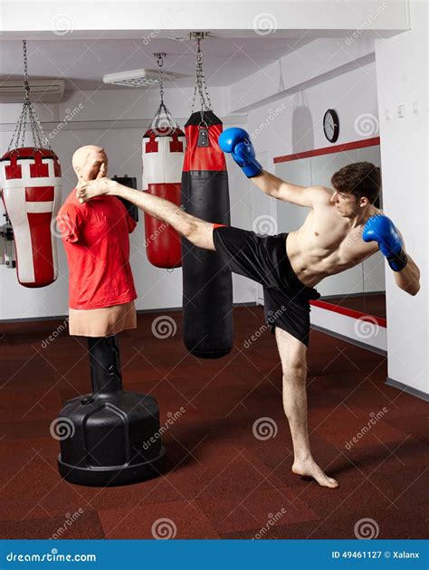 Kickboxer Training in the Gym Stock Image - Image of boxer, activity ...