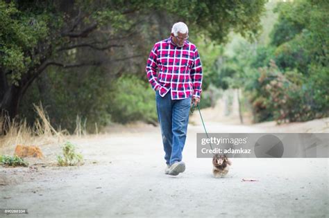 Senior African American Man Walking His Dog High-Res Stock Photo ...