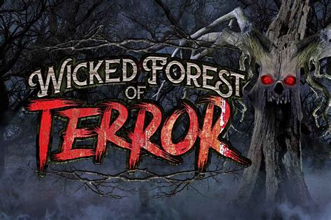 Location – Wicked Forest of Terror