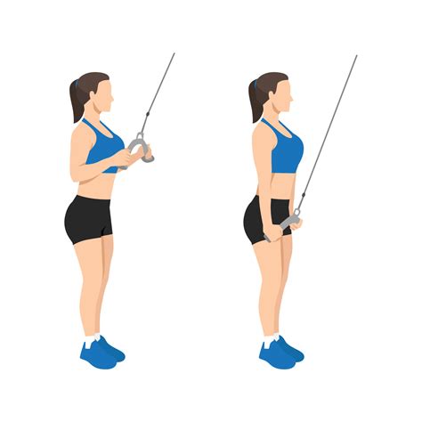 Woman doing cable rope tricep pull down or push exercise. Flat vector ...