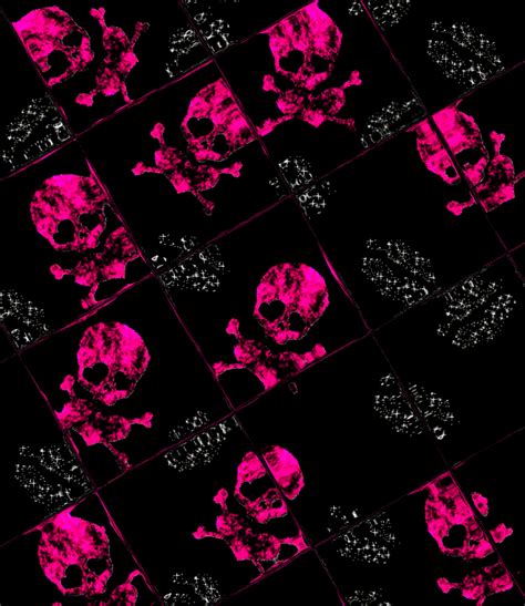 Glitter Sugar Skull Wallpaper ~ Skull Wallpapers Background Sugar Iphone Tiles Phone S5 Galaxy ...