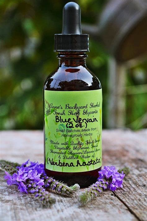 Blue Vervain Tincture Recipe