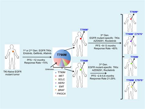 The Next Wave of EGFR Tyrosine Kinase Inhibitors Enter the Clinic: Cancer Cell