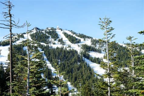 Update on Mt. Ashland: A Winter Yet to Come – Rogue Valley Messenger