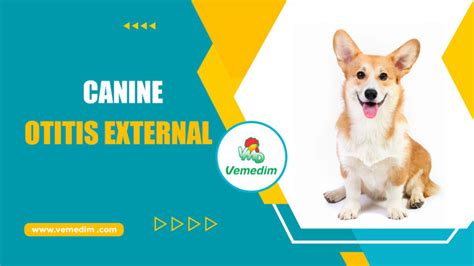 Technical information - CANINE OTITIS EXTERNA