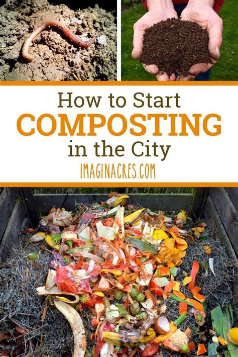 How to Start Composting | How to start composting, Compost, Organic ...