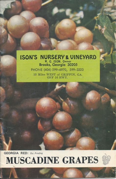 About Ison's - Ison's Nursery & Vineyard