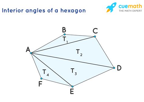 What is the sum of the interior angles of a hexagon?