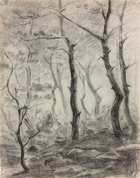 Nature Drawings Original Art - Drawing - Forest, c.1930 - Original Art ...