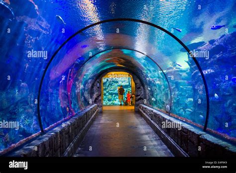 The Shark Reef Aquarium at Mandalay Bay hotel and casino in Las Vegas ...