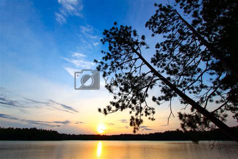 Pine Tree Sunset Silhouette by Wirepec Vectors & Illustrations Free ...