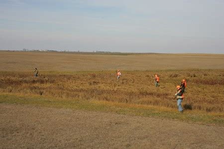 2009 South Dakota Pheasant Hunting Season Outlook Forecast Report - Summer by UGUIDE South ...