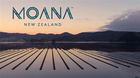 Our Story - Moana New Zealand - YouTube