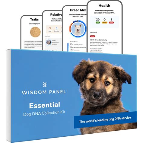 Wisdom Panel Essential Dog DNA Test Kit | Petco