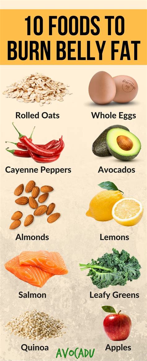 Foods That Help Burn Belly Fat | Examples and Forms