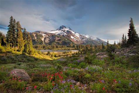 Wilderness Area of the Week: Mt. Jefferson