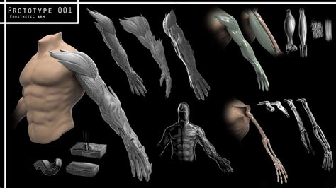 Prosthetic Arm Design by Dragonio3 on DeviantArt