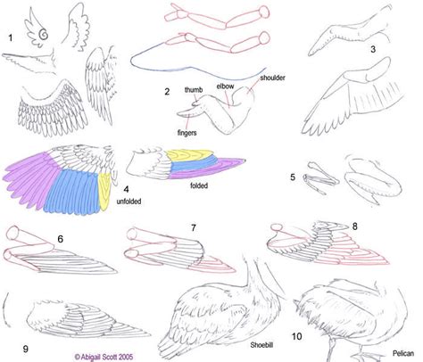 Folded Bird Wings by keaalu on DeviantArt