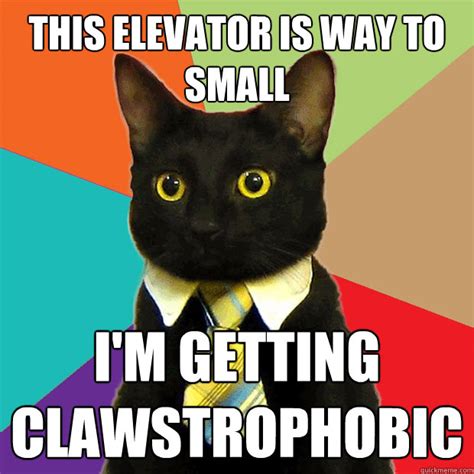 Business Cat memes | quickmeme