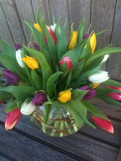 Fun Fact: Tulips are some of the most popular spring flowers of all time, and the third most ...