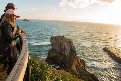 ULTIMATE Guide to Visiting Muriwai Beach, New Zealand (2022!)