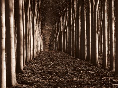 30 Beautiful Examples of Sepia Photography | PSDFan