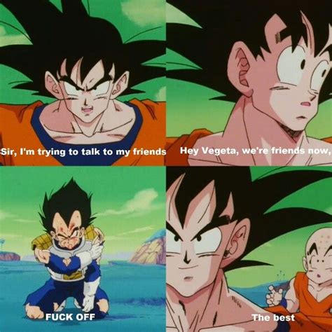 Vegeta and Goku Dragon Balls, Dragon Ball Art, Dragon Ball Super, Dbz Memes, Funny Memes, Funny ...