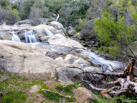 Spring Break 2017 - Day 4: Cuyamaca Rancho State Park - WasatchWill