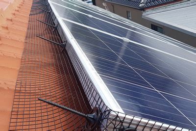 Solar Panel Bird Proofing Services In Sydney | Pestworks