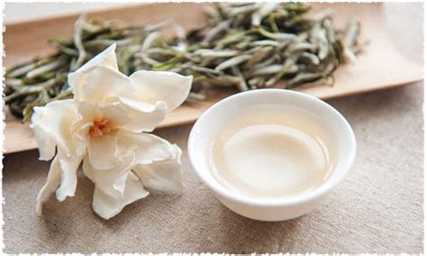 Six recommended methods of brewing white tea – teavivre