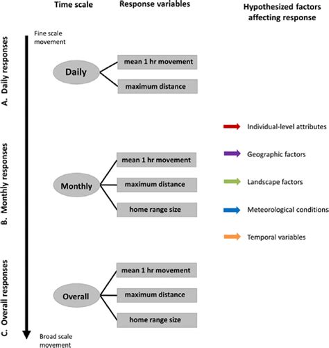 Schematic illustrating the three temporal scales (circles; 1st column)... | Download Scientific ...